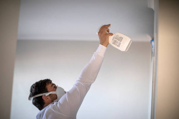 Best Mold Testing and Inspection Services in Syracuse, NY